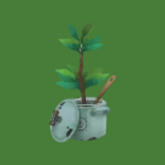 簡素なイチジクの植木鉢